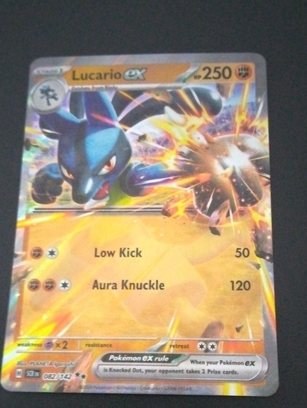 Lucario ex